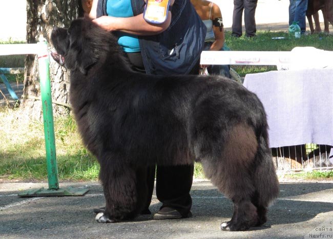 Фотография № 133617