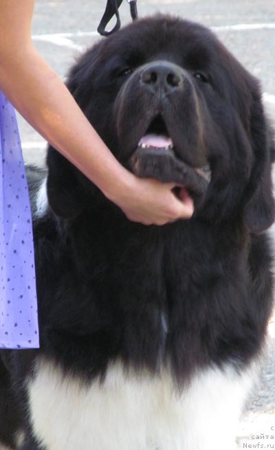 Фотография № 133630