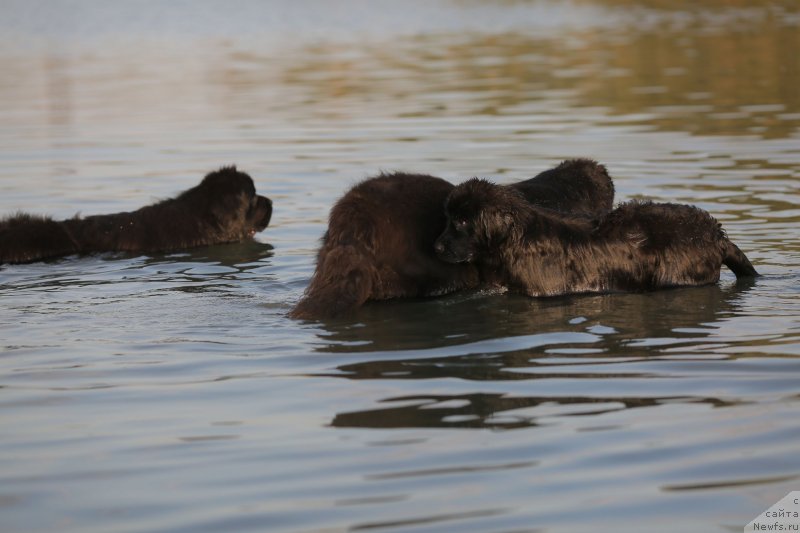 Фотография № 133636