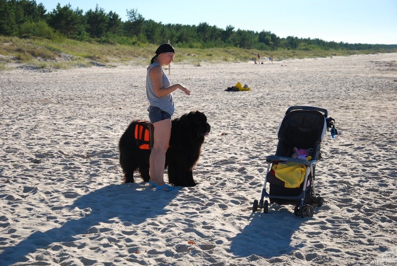 Фотография № 133645