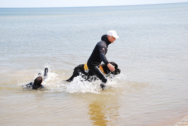 Фотография № 133646