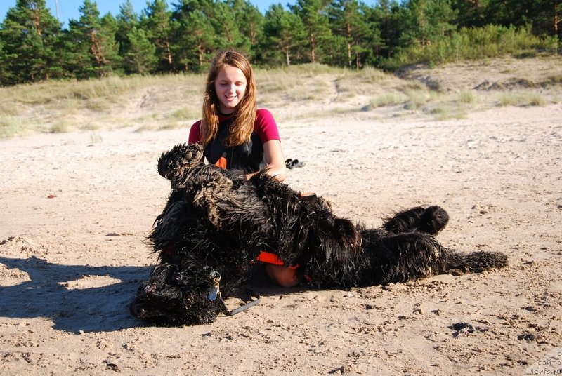 Фотография № 133647