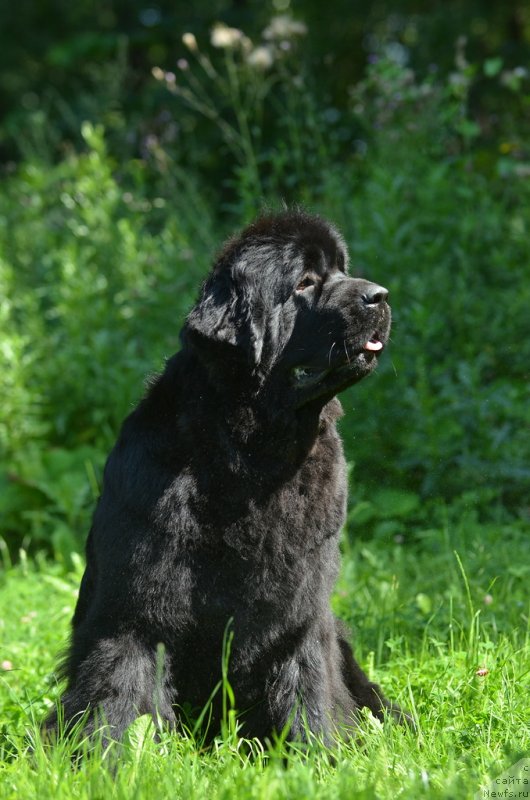 Фотография № 133654