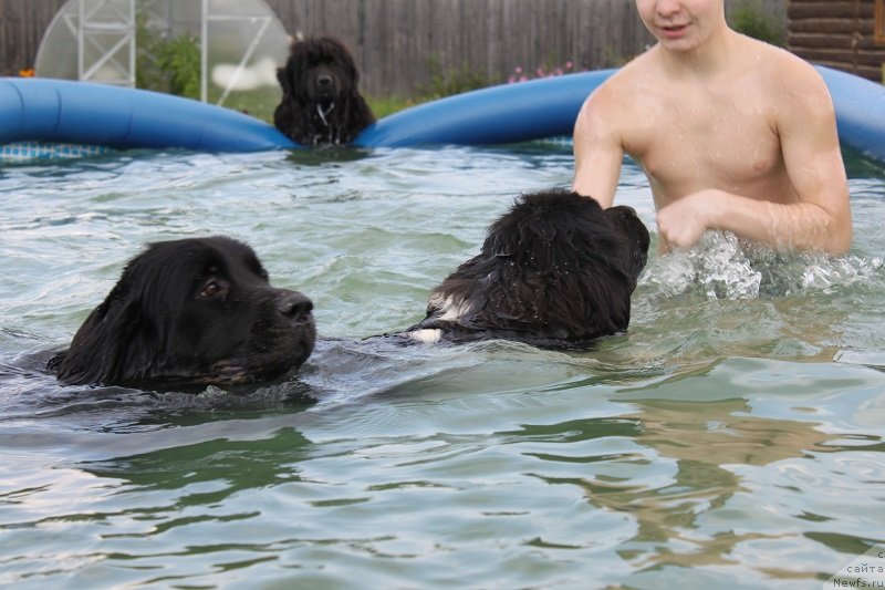 Фотография № 133666