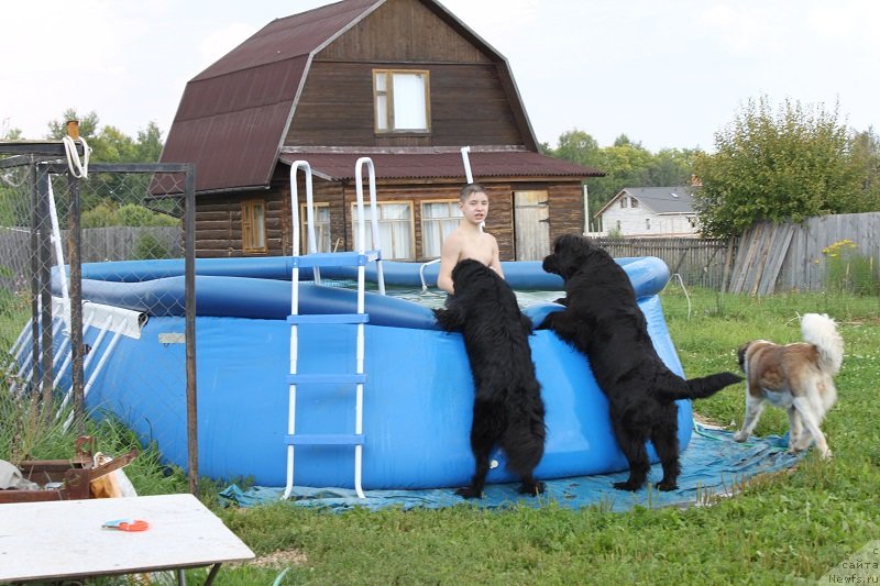 Фотография № 133672