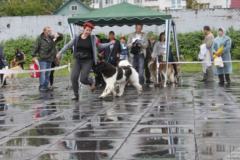 Фотография № 133676