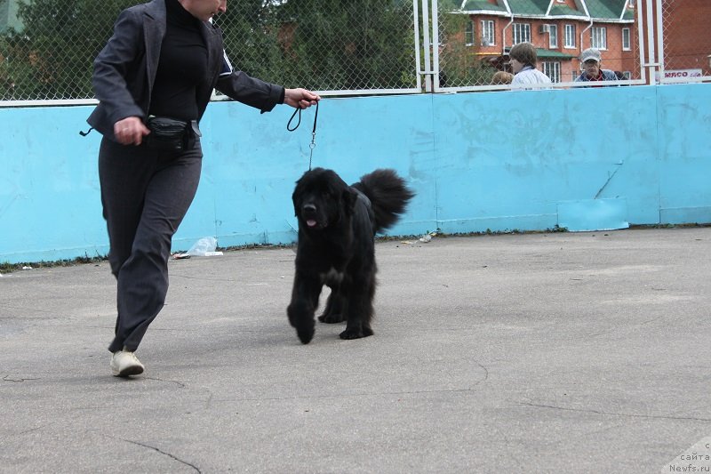 Фотография № 133683