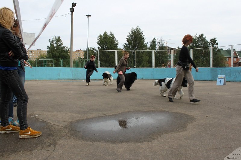 Фотография № 133687