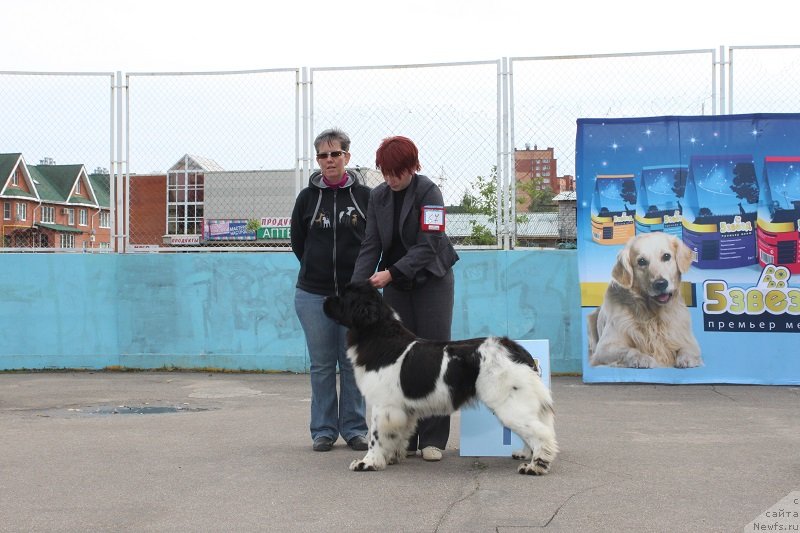 Фотография № 133689