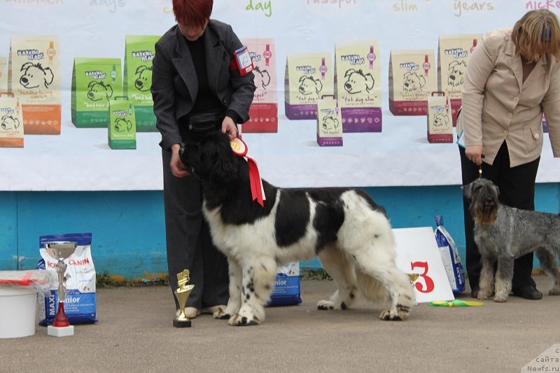 Фотография № 133692