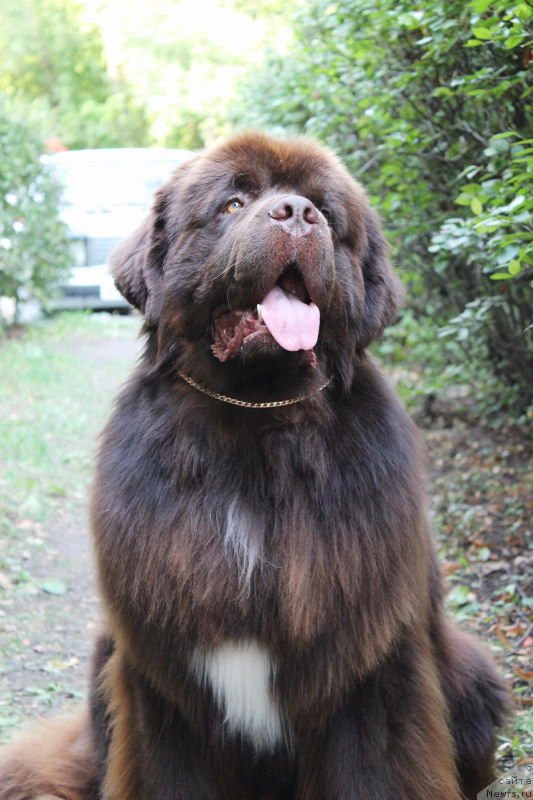 Фотография № 133743