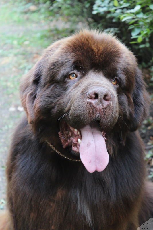 Фотография № 133744