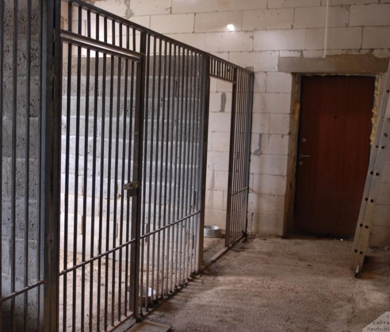 Фотография № 133748