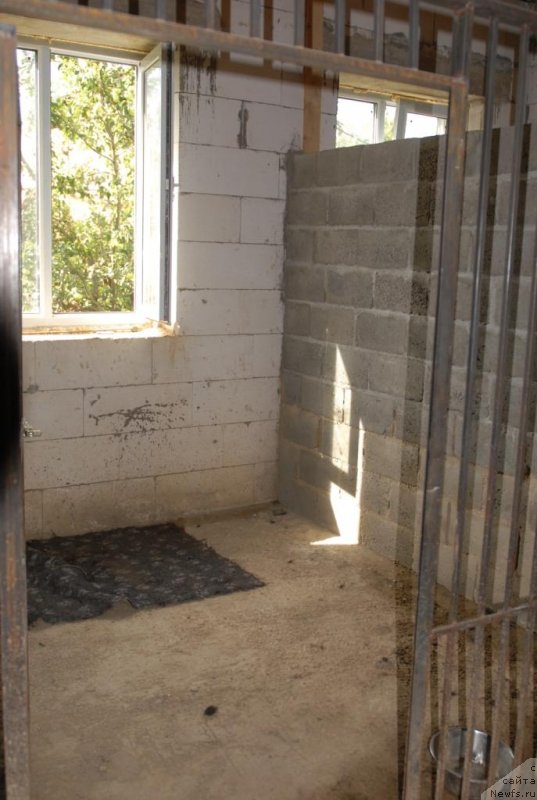 Фотография № 133749