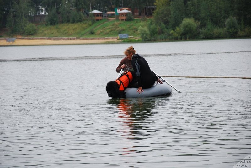 Фотография № 133778