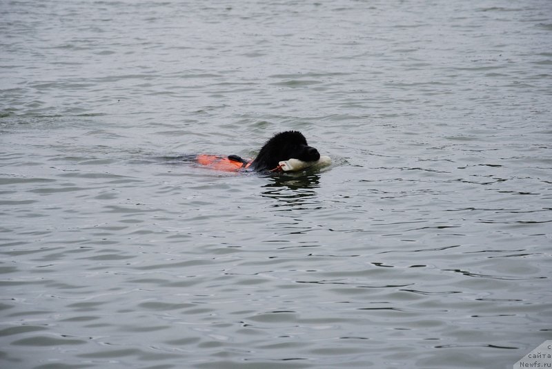 Фотография № 133779