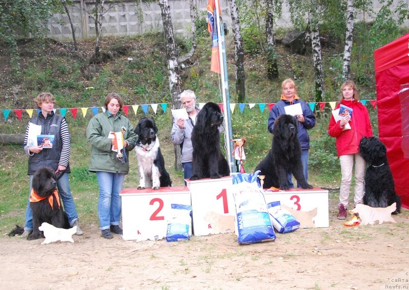 Фотография № 133780