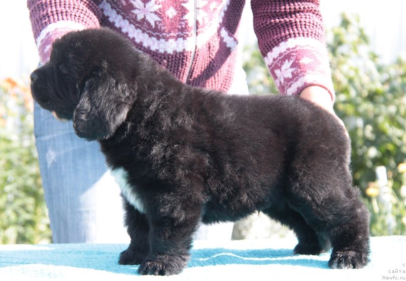 Фото: Аквиан Сонг Ларс Бергер