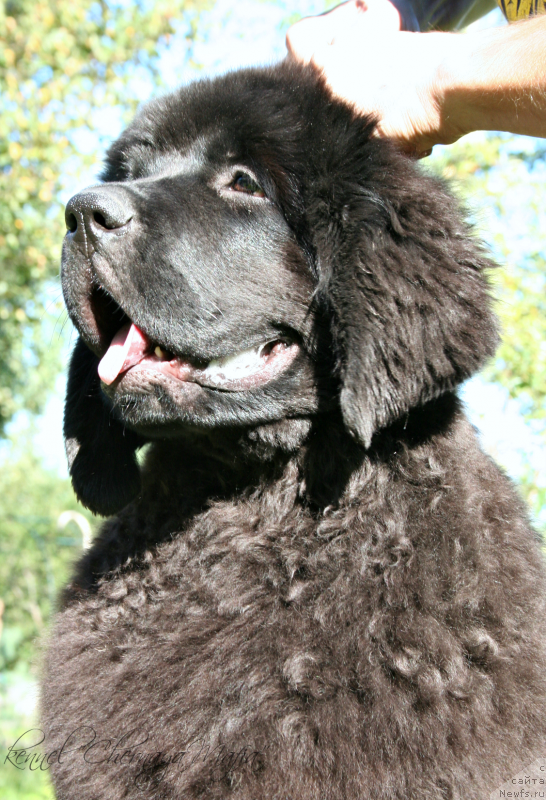 Фотография № 133814