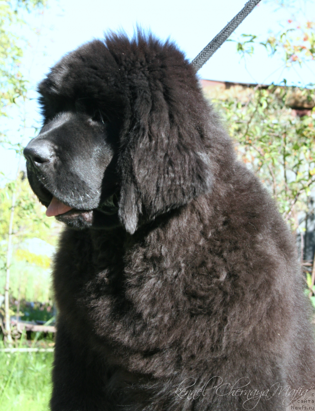 Фотография № 133815