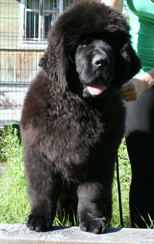 Фотография № 133818