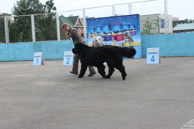 Фотография № 133822