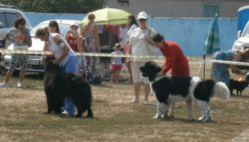 Фотография № 133864