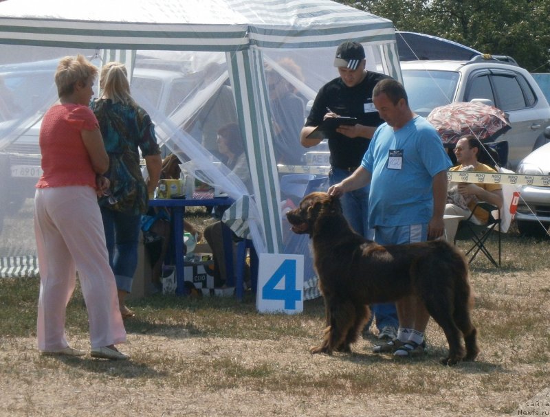 Фотография № 133867