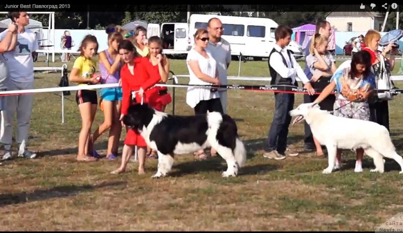 Фотография № 133870