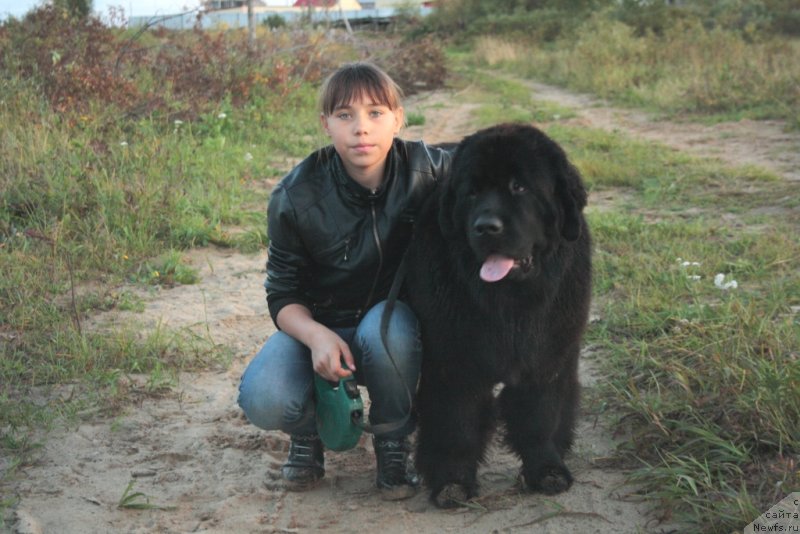 Фотография № 133935