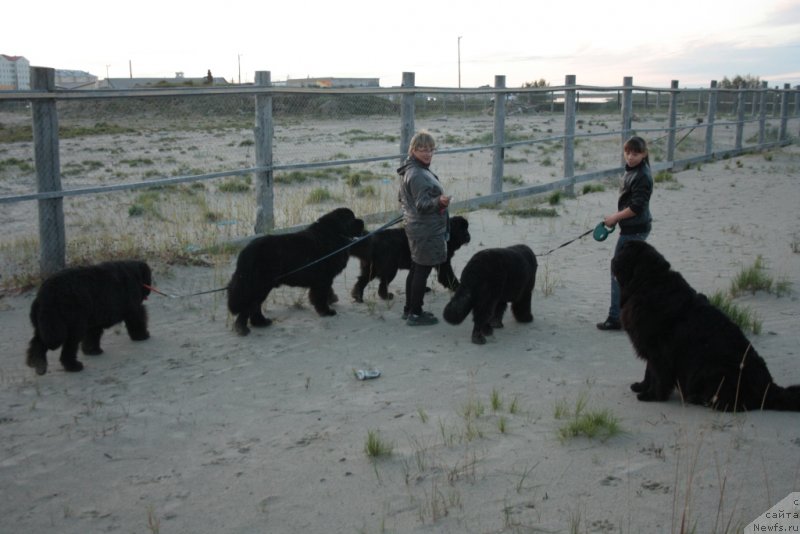 Фотография № 133937