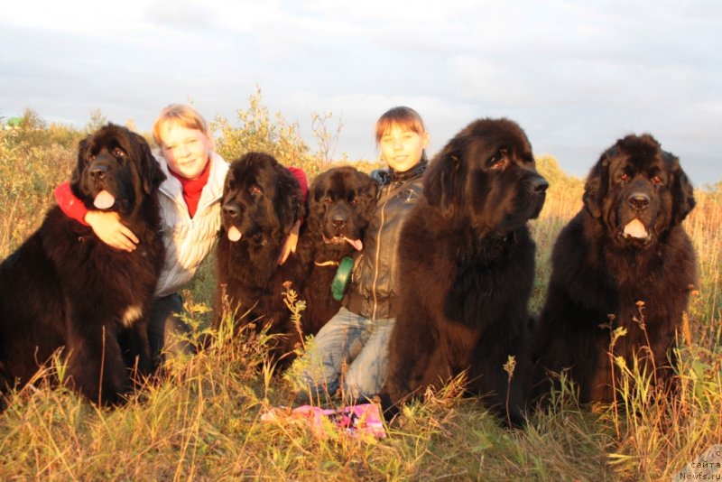 Фотография № 133940