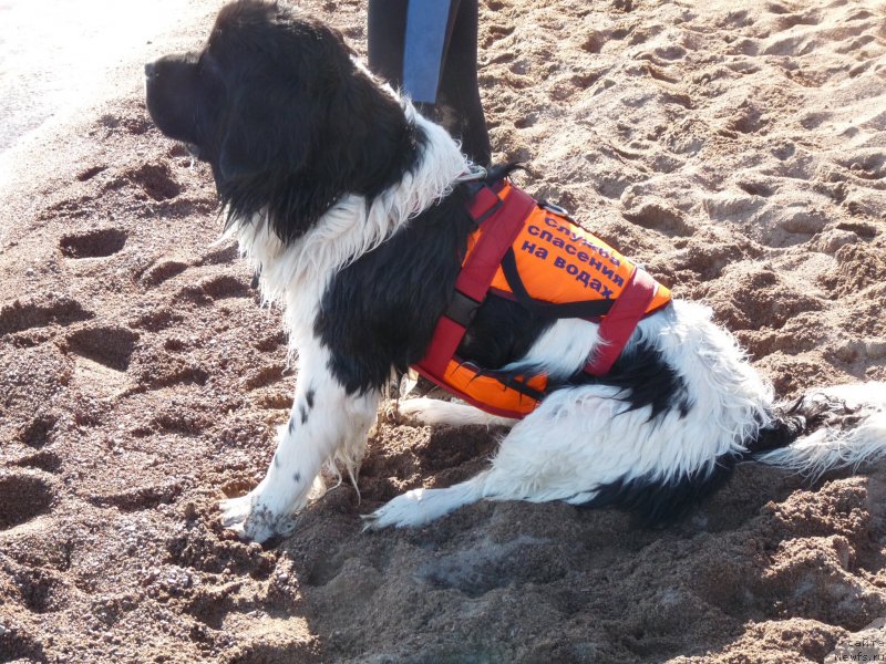 Фотография № 133956