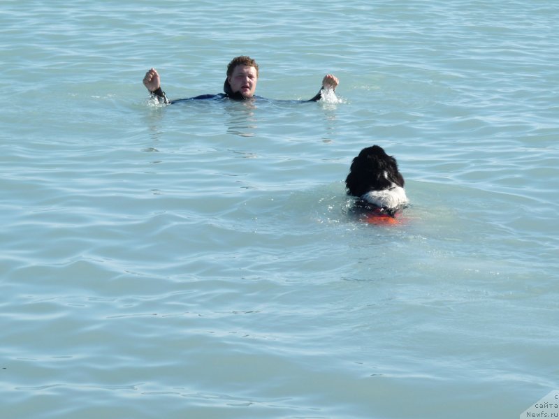 Фотография № 133957