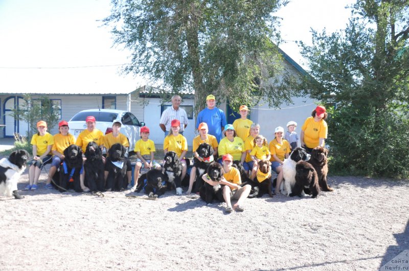 Фотография № 133972