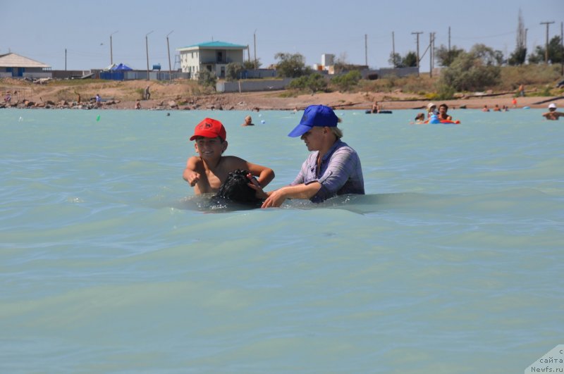 Фотография № 133973