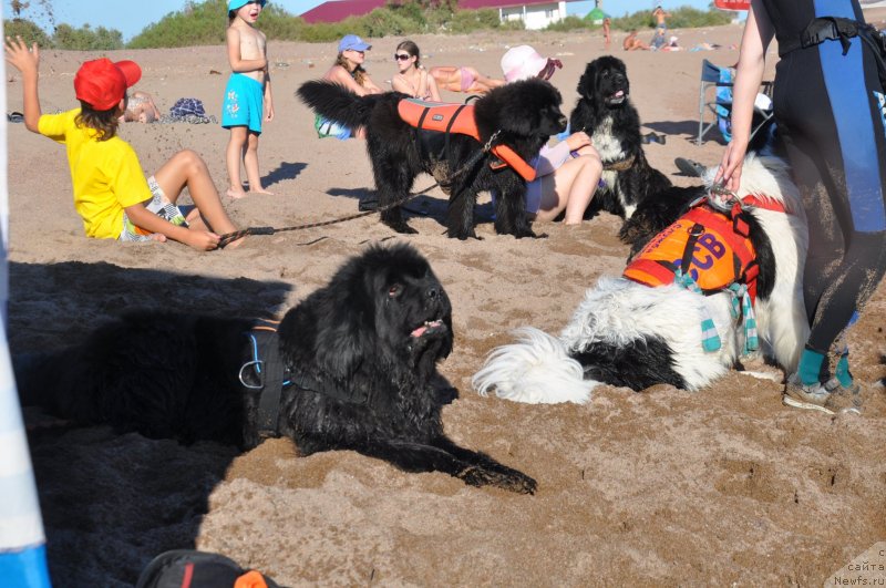 Фотография № 133974