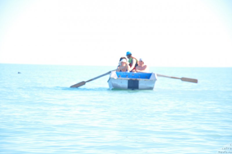 Фотография № 133975