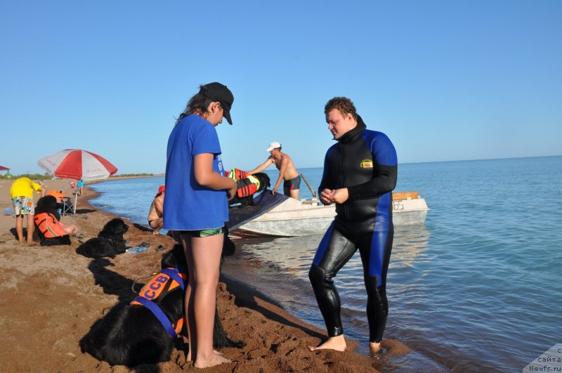 Фотография № 133976