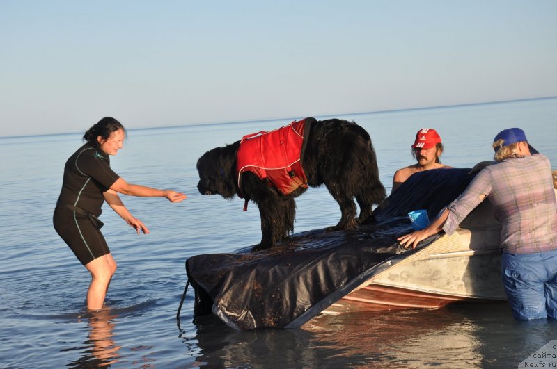 Фотография № 133977