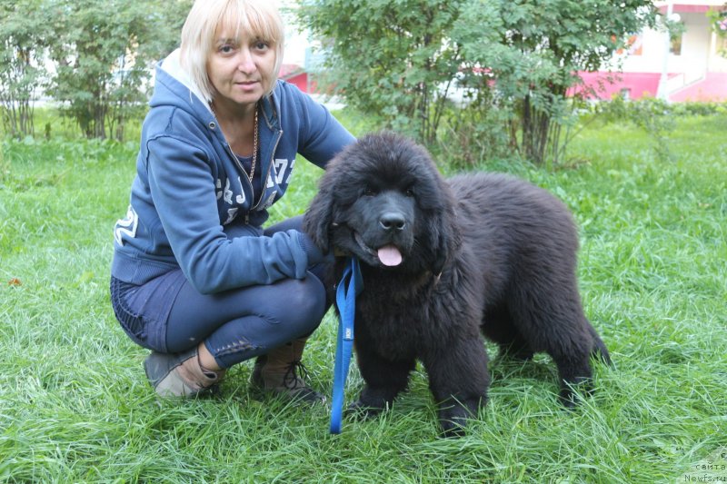 Фотография № 133978