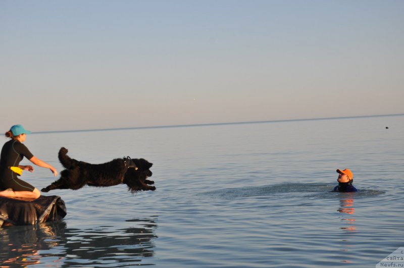 Фотография № 133979