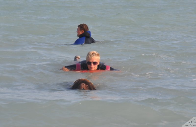 Фотография № 133980