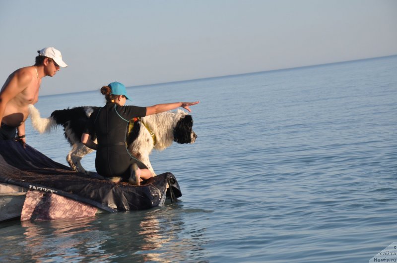 Фотография № 133982