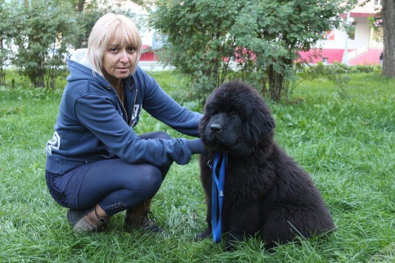 Фотография № 133996