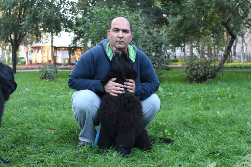 Фотография № 133997