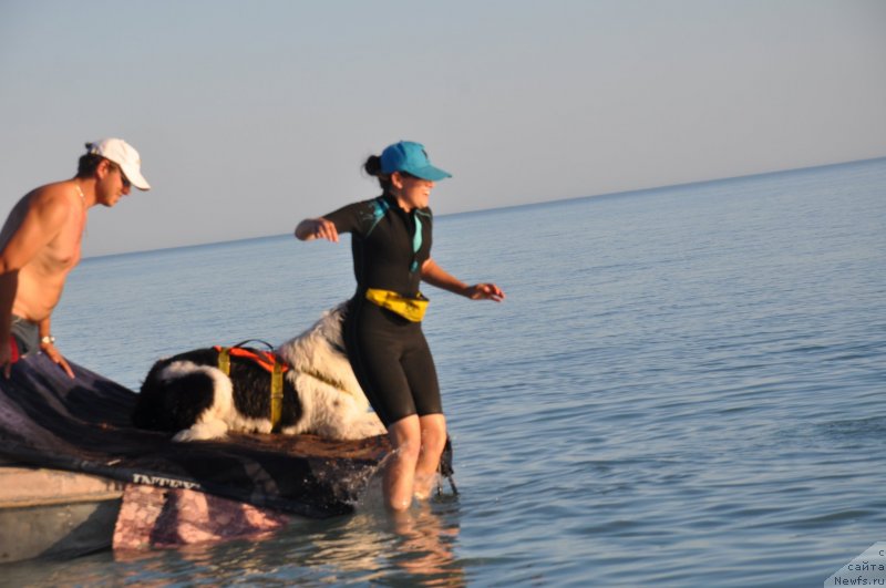 Фотография № 134007