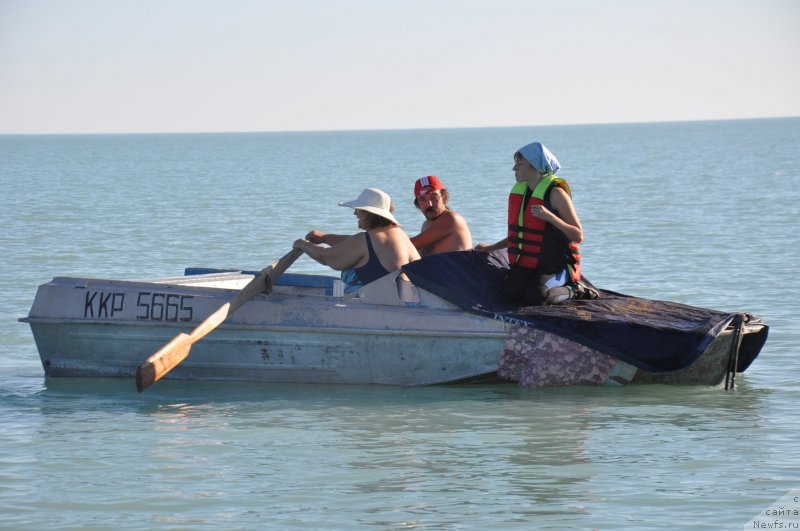 Фотография № 134008