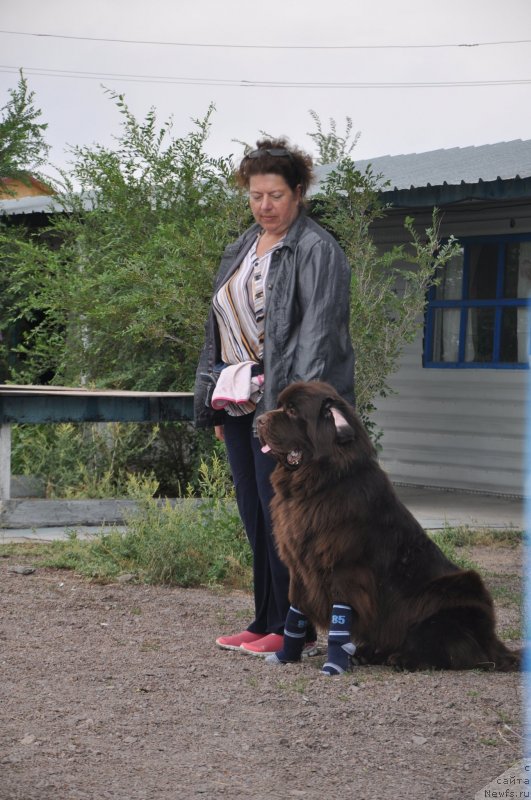 Фотография № 134013