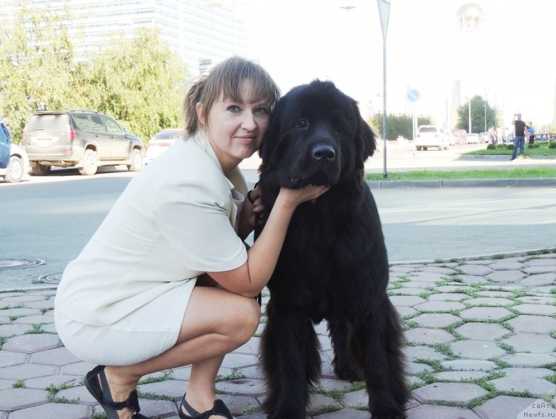 Фотография № 134036